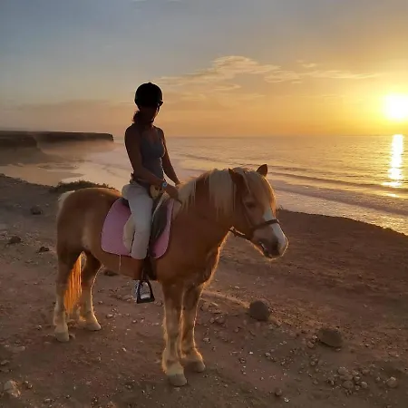 Cowboy With Sea View 컨트리하우스 *