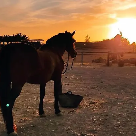 Casa rural Cowboy With Sea View