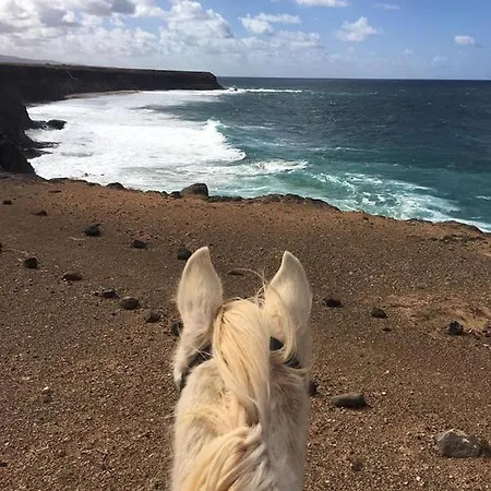 Cowboy With Sea View Roque