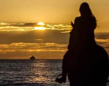 Cowboy With Sea View Casa rural