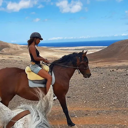 Cowboy With Sea View