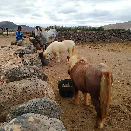 Cowboy With Sea View Roque